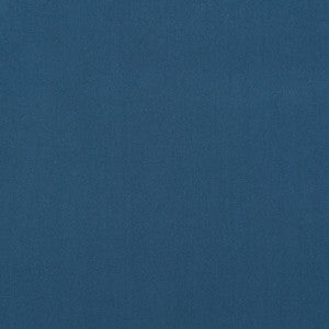 Salute 165J7161 by JF Crypton Fabric