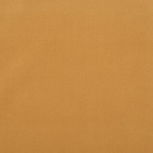 Salute 16J7191 by JF Crypton Fabric