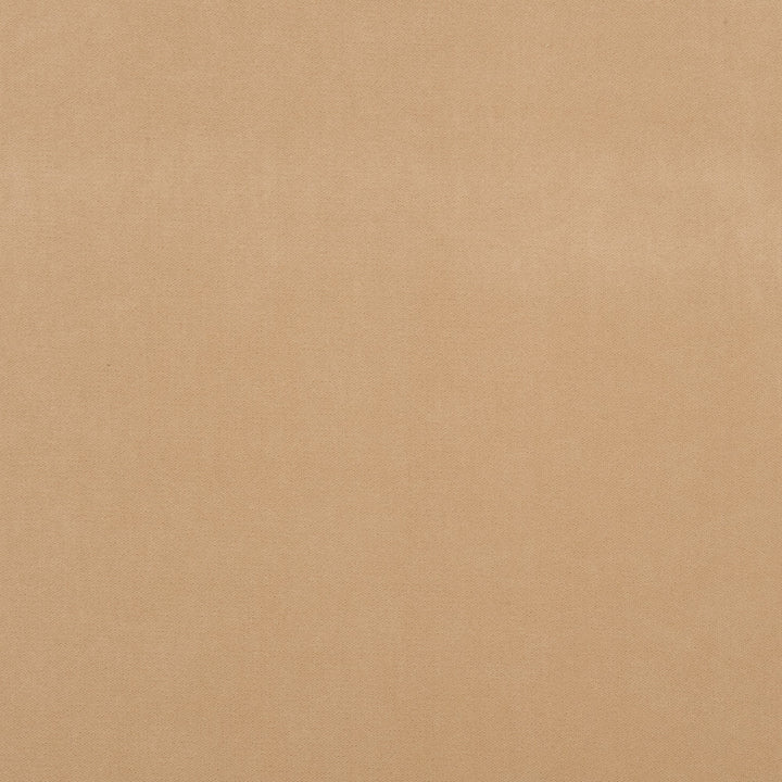 Salute 30J7191 by JF Crypton Fabric Salute Crypton Home Book 100% Polyester Republic Of Korea 100000 Horizontal: and Vertical: 54 - Fabric Carolina -