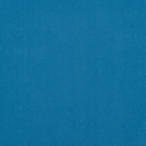 Salute 64J7191 by JF Crypton Fabric