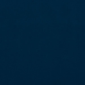Salute 67J7191 by JF Crypton Fabric