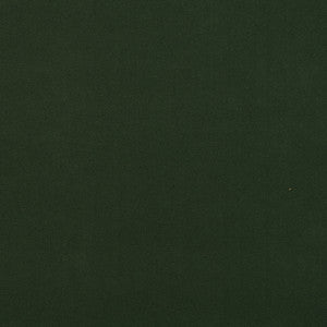 Salute 76J7191 by JF Crypton Fabric