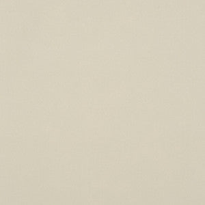 Salute 91J7161 by JF Crypton Fabric