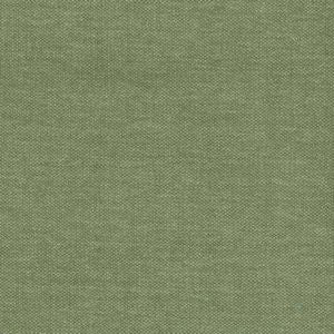 Santiago Cactus 52 by Norbar Fabric
