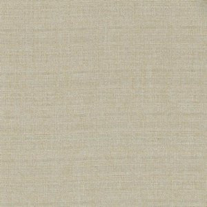 Saranac Suede by Norbar Fabric KONA 100% POLYESTER TAIWAN 30,000 WYZENBEEK </p><p>Repeat: 54 - Fabric Carolina -