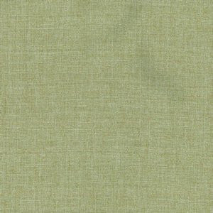 Saranac Willow by Norbar Fabric See Sample 100% POLYESTER TAIWAN 30,000 WYZENBEEK 54 - Fabric Carolina -