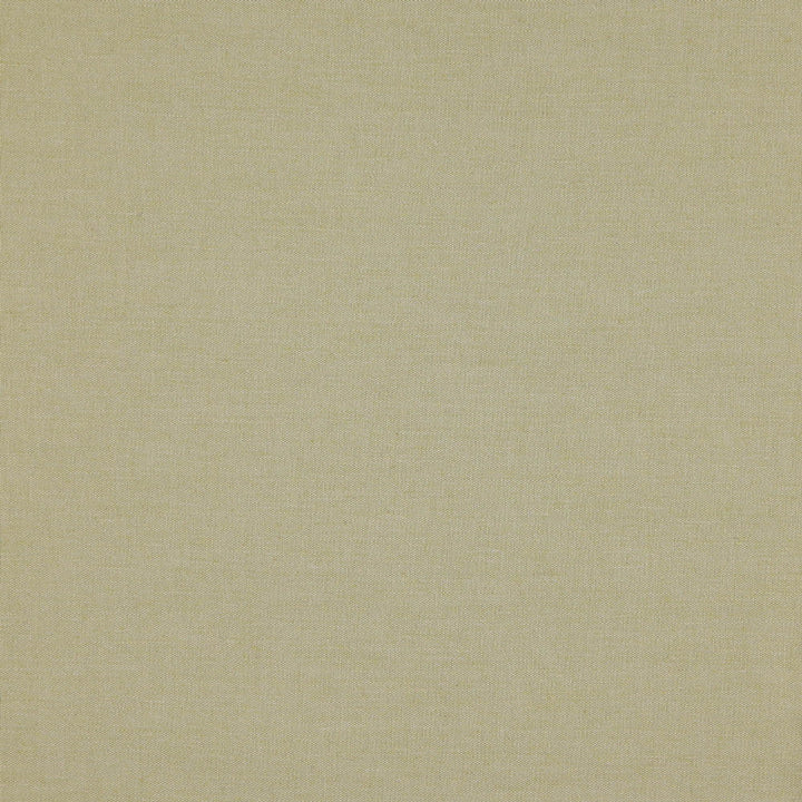 SASSY 74J7301 by JF Designer Fabric Winning Windows II -Wide Width Dim,Blackout Book 37% Cotton, 31% Polyester, 20% Viscose, 12% Linen Turkey  Horizontal:  and Vertical:  122  - Swanky Fabrics -