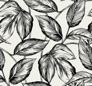 Beckett Sketched Leaves Volcanic Black by Seabrook Wallpaper