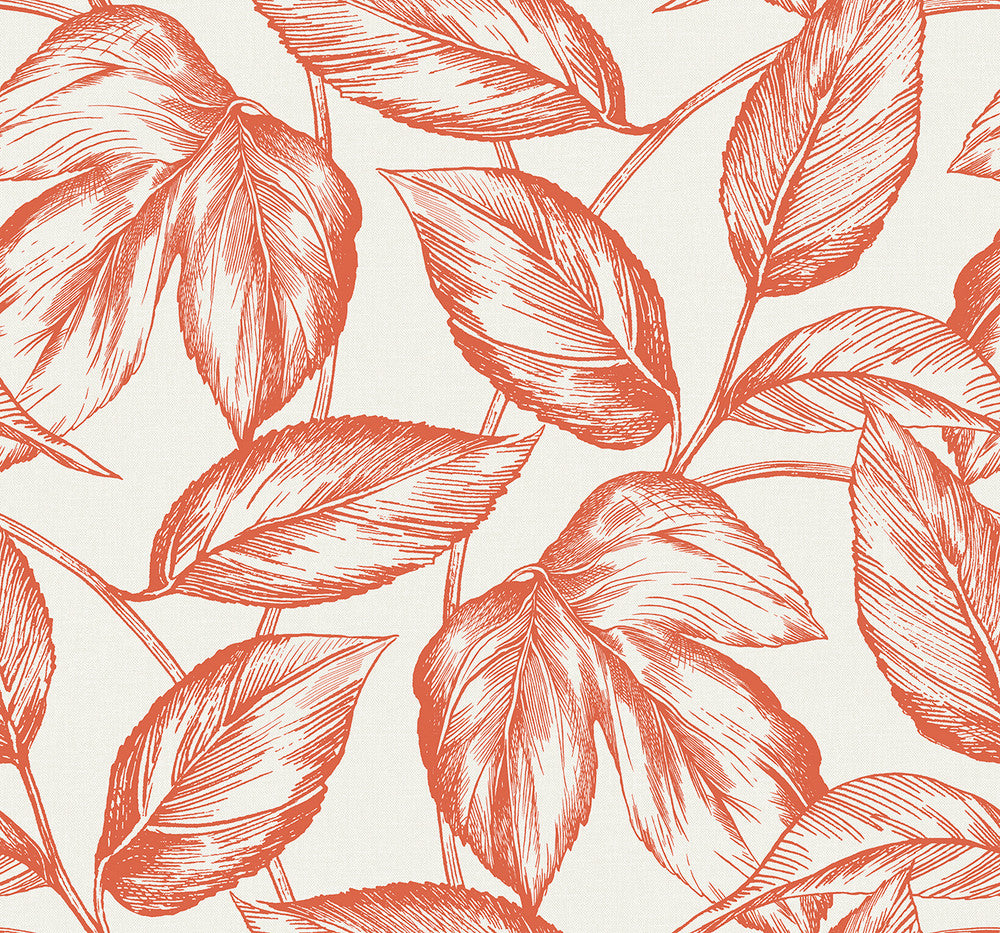 Beckett Sketched Leaves Rich Coral by Seabrook Wallpaper Summer House United States 60.75 25.2" 27" - Fabric Carolina -