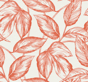Beckett Sketched Leaves Rich Coral by Seabrook Wallpaper