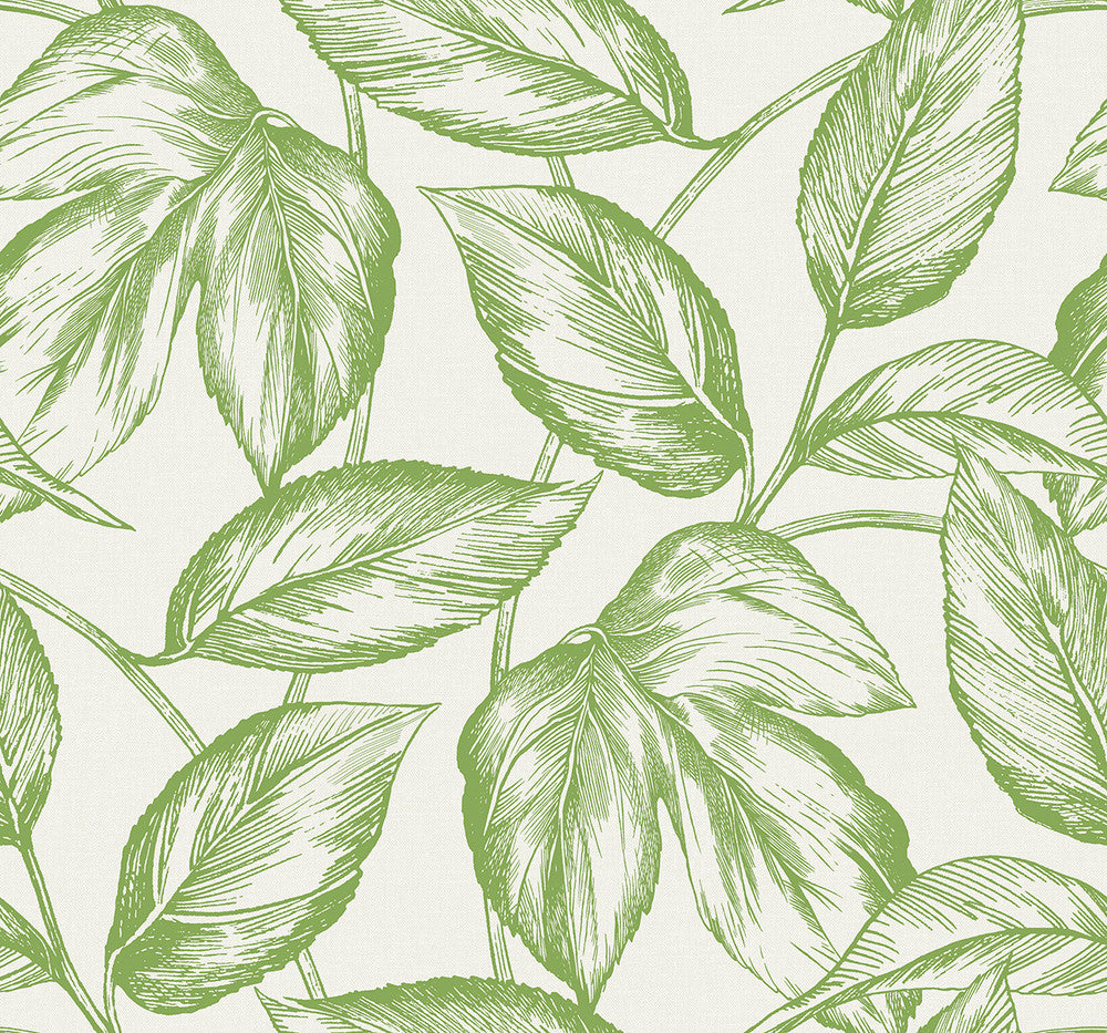 Beckett Sketched Leaves Apple Green by Seabrook Wallpaper Summer House United States 60.75 25.2" 27" - Fabric Carolina -