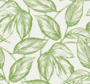 Beckett Sketched Leaves Apple Green by Seabrook Wallpaper