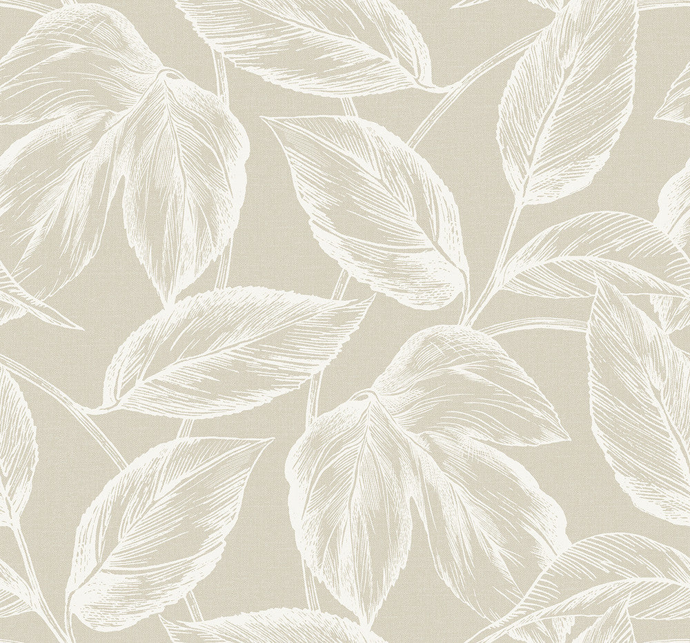 Beckett Sketched Leaves Oat by Seabrook Wallpaper Summer House United States 60.75 25.2" 27" - Fabric Carolina -