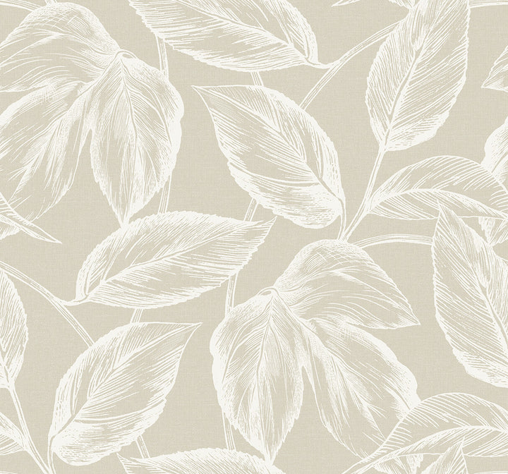 Beckett Sketched Leaves Oat by Seabrook Wallpaper Summer House United States 60.75 25.2" 27" - Fabric Carolina -