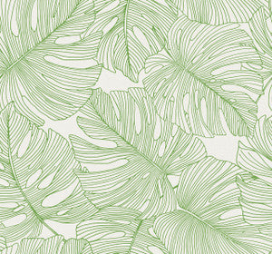 Tarra Monstera Leaf Hill Green by Seabrook Wallpaper