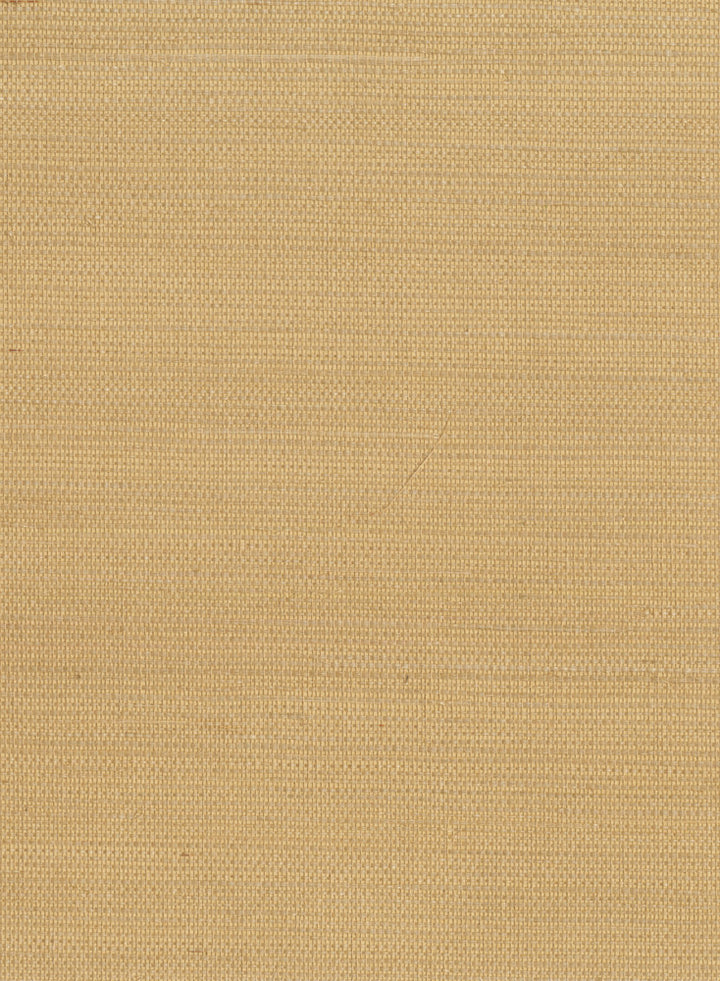 by Ronald Redding Grasscloth Resource - Fabric Carolina -
