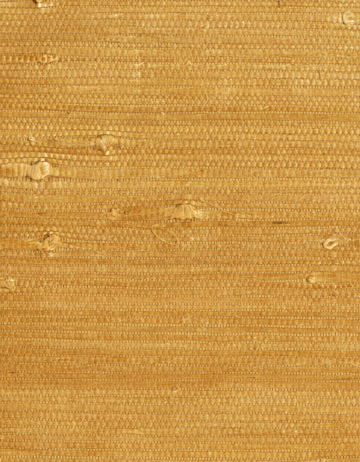 by Ronald Redding Grasscloth Resource - Fabric Carolina -