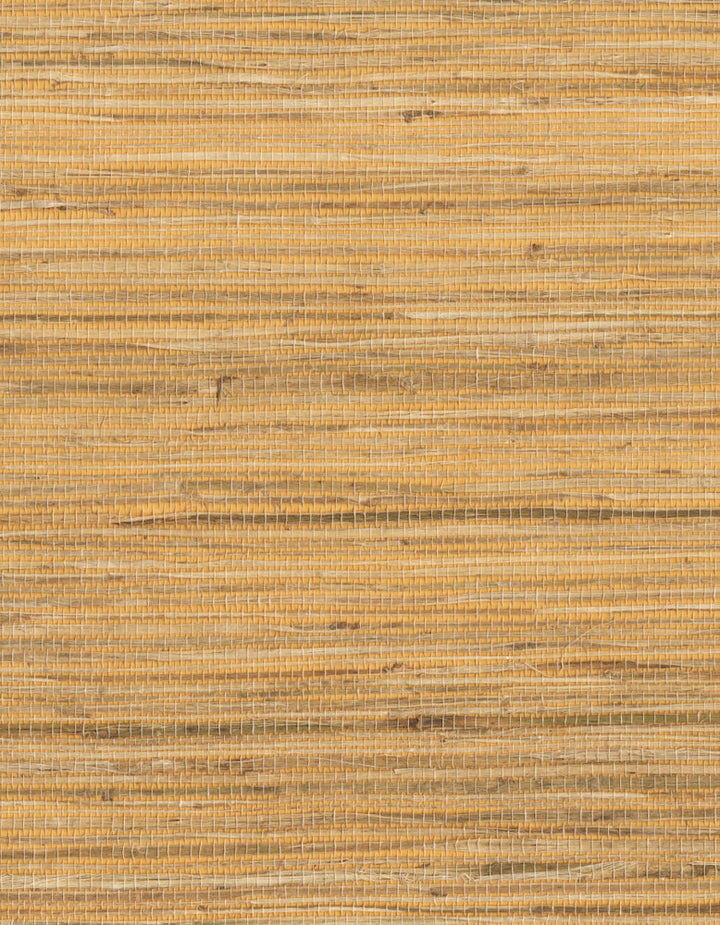 by Ronald Redding Grasscloth Resource - Fabric Carolina -