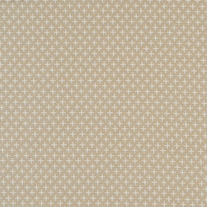 Scandinavian 34J8911 by JF Crypton Fabric