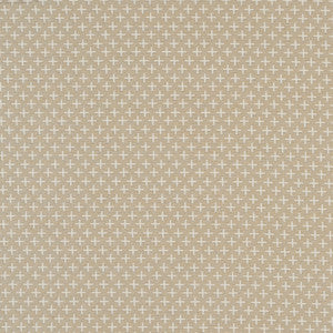 Scandinavian 34J8911 by JF Crypton Fabric