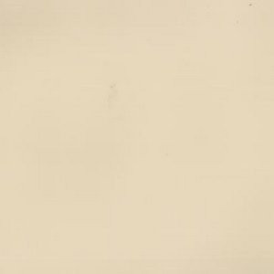 Scranton Buff by Norbar Fabric 100% POLY VINYL CHLORIDE CHINA 54" - Fabric Carolina -