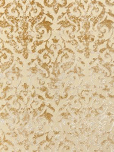 Scalamandre Fabric Venezia Silk Velvet Champagne