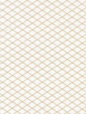 <p>Tristan Weave White Sand SC271010001 by Scalamandre Fabric</p><p><strong>Required Minimum Quantity Purchase: Fabrics by the yard 1 YARD MINIMUM </p><p>Book: MERCHANTE</p><p>Content: 45% COTTON 34% VISCOSE 21% POLYAMIDE</p><p>Origin: ITALY</p><p>Performance: HEAVY DUTY</p><p>Repeat: Horizontal: 1.125" and Vertical: 1.875"</p><p>Width: 55</p>