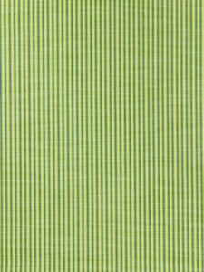 Scalamandre Fabric Tisbury Stripe Fern