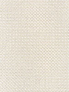 Scalamandre Fabric Floret Embroidery Champagne