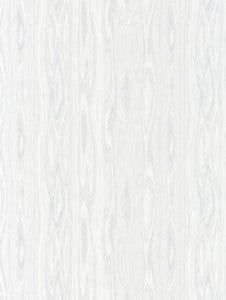 Scalamandre Fabric Faux Bois Weave Fog