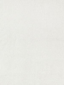 Scalamandre Fabric Bay Velvet | Outdoor Oyster