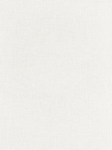 Scalamandre Fabric Aruba Sheer Whelk