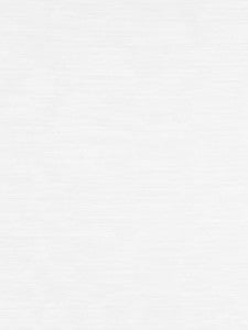 Scalamandre Fabric Riva Moire White