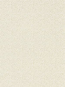 Scalamandre Fabric Risa Weave Birch
