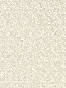 Scalamandre Fabric Risa Weave Birch