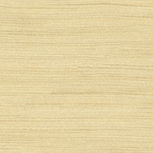 Scalamandre Fabric Less Beige