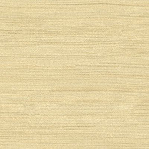 Scalamandre Fabric Less Beige