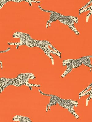 Leaping Cheetah Cotton Print Clementine SC166340002 by Scalamandre Designer Fabric SAHARA 100% COTTON ITALY LIGHT DUTY Horizontal: 25.125" and Vertical: 27.5" 55 - Swanky Fabrics -
