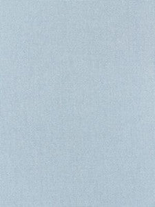 Scalamandre Fabric Canvas Sky
