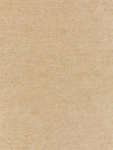 Scalamandre Fabric Luna Weave Champagne