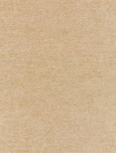 Scalamandre Fabric Luna Weave Champagne