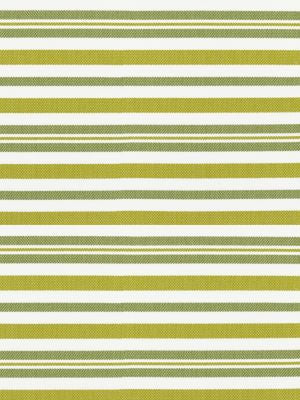 <p>Santorini Stripe Palm SC271880002 by Scalamandre Fabric</p><p><strong>Required Minimum Quantity Purchase: Fabrics by the yard 1 YARD MINIMUM </p><p>Book: ISOLA INDOOR / OUTDOOR</p><p>Content: 100% POLYOLEFIN</p><p>Origin: U.S.A.</p><p>Performance: HEAVY DUTY</p><p>Repeat: Horizontal: 11" and Vertical: 0"</p><p>Width: 52</p>