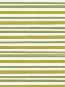 Scalamandre Fabric Santorini Stripe Palm
