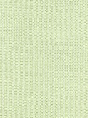<p>Tahiti Tweed Palm SC271920002 by Scalamandre Fabric</p><p><strong>Required Minimum Quantity Purchase: Fabrics by the yard 1 YARD MINIMUM </p><p>Book: ISOLA INDOOR / OUTDOOR</p><p>Content: 100% POLYPROPYLENE</p><p>Origin: BELGIUM</p><p>Performance: HEAVY DUTY</p><p>Repeat: Horizontal: 0" and Vertical: 1.5"</p><p>Width: 59</p>