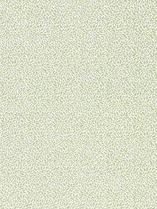 Scalamandre Fabric Risa Weave Fern