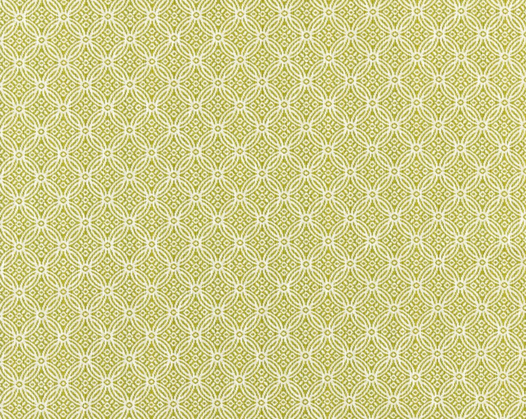 Cape May Key Lime SC273170002 by Scalamandre Designer Fabric