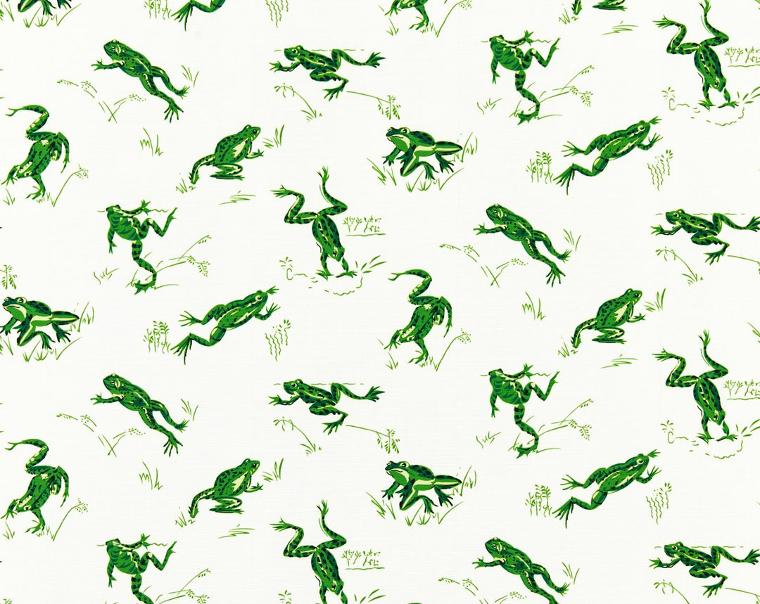 Calabasas County | Outdoor Snap Pea SC16426M0003 by Scalamandre Designer Fabric