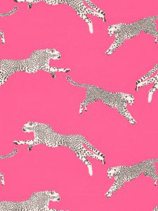 Scalamandre Fabric Leaping Cheetah Cotton Print Bubblegum