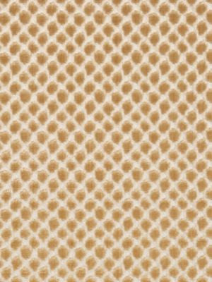 Etosha Velvet Palomino SC270220003 by Scalamandre Designer Fabric MODERN NATURE 45% RAYON 28% VISCOSE 27% COTTON INDIA HEAVY DUTY Horizontal: and Vertical: 55 - Swanky Fabrics -