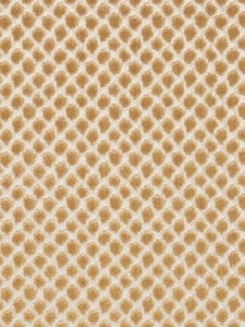 Scalamandre Fabric Etosha Velvet Palomino